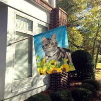 53149 Američka kratkodlaka mačka u platnu sa zastavom suncokreta, veličina kuće velika, višebojna