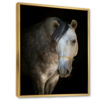 Izbliza portret bijelog konja uokvirena slika umjetnički tisak na platnu