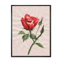 DesignArt 'Drevni cvijet crvene ruže II' Tradicionalno uokvireno platno zidne umjetničke tiska