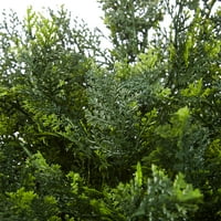 Čisti vrt visoki umjetni topij od cedra-topija- usad zatvoreni ili vanjski UV zaštita plastično stablo u loncu